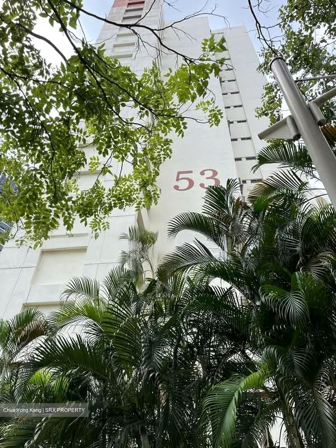 Blk 53 Toa Payoh Vista (Toa Payoh), HDB 3 Rooms #602827891